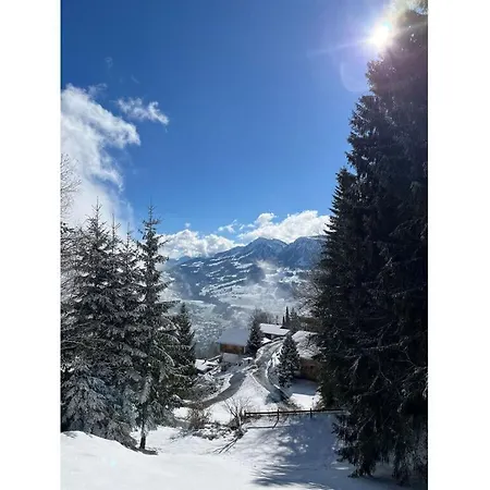 Bregenzerwald 3*